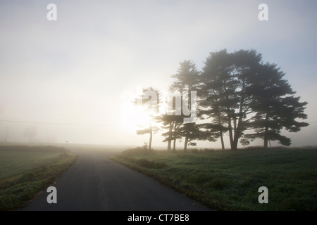 Nebligen Sonnenaufgang über Landstraße Stockfoto