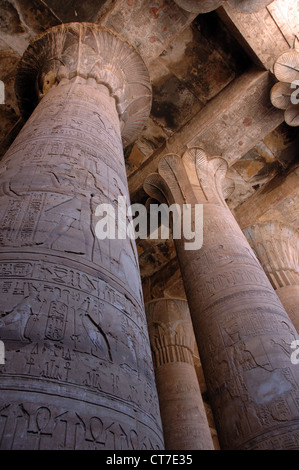 Tempel von Edfu, Ägypten Stockfoto
