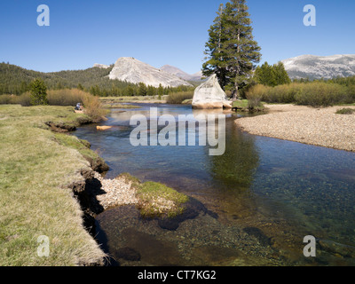 Lembert Dome in Tuolumne Meadows Teil des Yosemite National Park Stockfoto