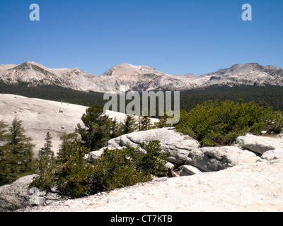 Blick vom Lembert Dome in Tuolumne Meadows Teil des Yosemite National Park Stockfoto