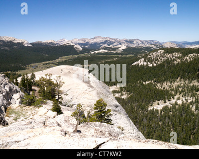 Blick vom Lembert Dome in Tuolumne Meadows Teil des Yosemite National Park Stockfoto