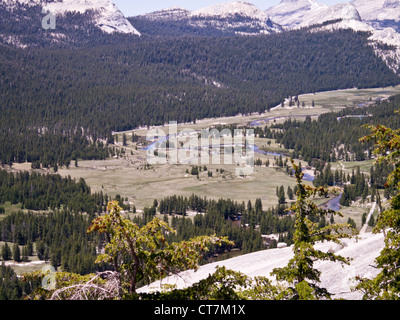 Blick vom Lembert Dome in Tuolumne Meadows Teil des Yosemite National Park Stockfoto