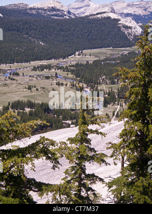 Blick vom Lembert Dome in Tuolumne Meadows Teil des Yosemite National Park Stockfoto