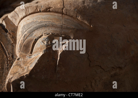 Detail eines Soldaten Gesichts in Persepolis, Shiraz, Iran Stockfoto