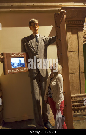 Weltweit größte Mann, ist Wadlow neben 5 Fuß hohen touristischen in auf dem Display in Ripley es glauben oder nicht Stockfoto