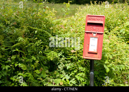 Eine ländliche royal Mail-Box in der walisischen Landschaft. Stockfoto