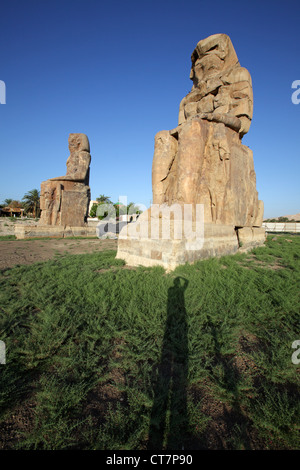 Die Kolosse von Memnon, die massiven steinernen Statuen von Pharao Amenhotep III, Luxor, Ägypten Stockfoto