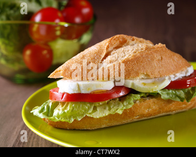 Gemüse-Sandwich. Bocadillo pflanzlichen.  Gemüse-Sandwich mit Salat, Tomaten und frischem Käse. Stockfoto