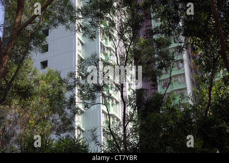 Es ist ein Foto von einer Gruppe von Türmen in Hong Kong mit einigen Bäumen herum. Wir können sehen, dass es ein sonniger Tag ist Stockfoto