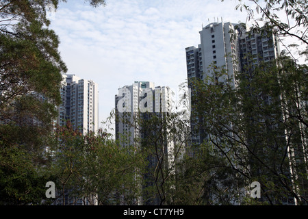 Es ist ein Foto von einer Gruppe von Türmen in Hong Kong mit einigen Bäumen herum. Wir können sehen, dass es ein sonniger Tag ist Stockfoto