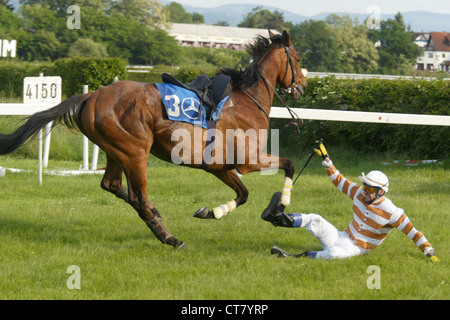 Ein Jockey stürzt aus dem Sattel seines Pferdes Stockfoto