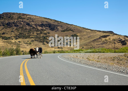 Gesamtansicht auf Straße Ruta 60 in Richtung Chile Stockfoto