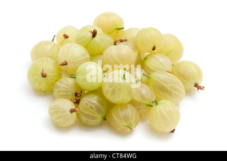 Stachelbeeren auf weißem Hintergrund Stockfoto