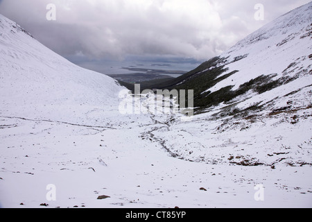 Blick vom Weg zur Glaciar Martial Stockfoto