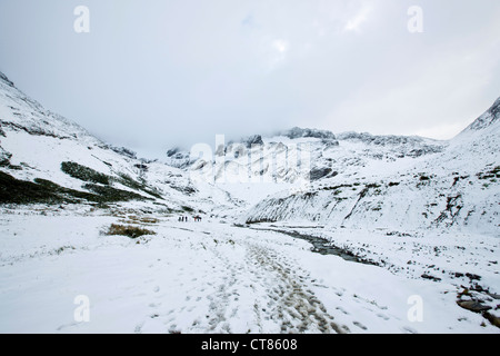 Blick vom Weg zur Glaciar Martial Stockfoto