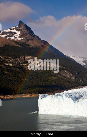 Wand des Glaciar Perito Moreno zu brechen Stockfoto