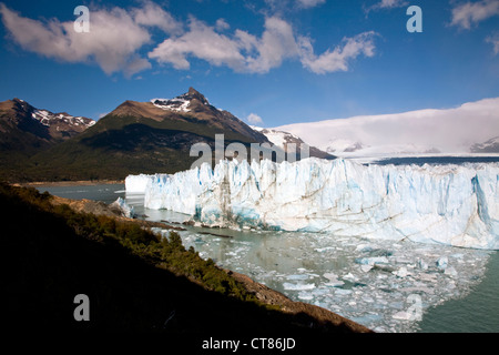 Wand des Glaciar Perito Moreno zu brechen Stockfoto