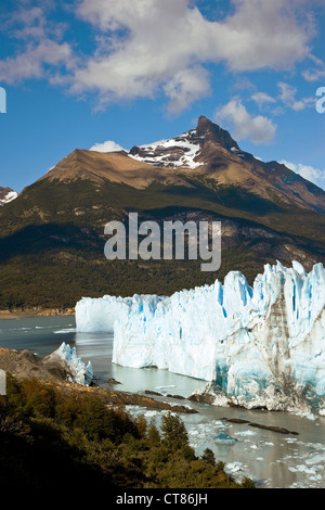 Wand des Glaciar Perito Moreno zu brechen Stockfoto