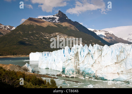 Wand des Glaciar Perito Moreno zu brechen Stockfoto