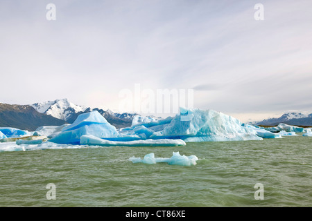Eisberge, die Blockierung der Brazo Upsala im Lago Argentino Stockfoto