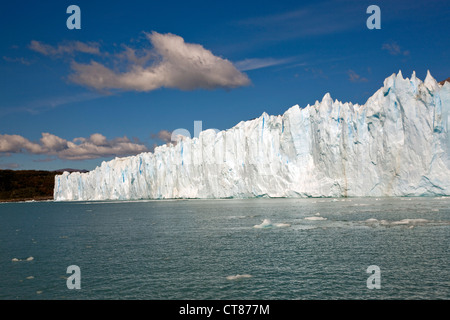 North Face des Glaciar Moreno aus dem Canal de Los Témpanos im Lago Argentino Stockfoto