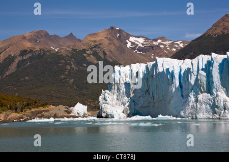 North Face des Glaciar Moreno aus dem Canal de Los Témpanos im Lago Argentino Stockfoto