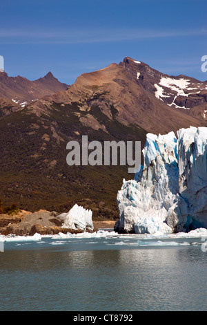 North Face des Glaciar Moreno aus dem Canal de Los Témpanos im Lago Argentino Stockfoto