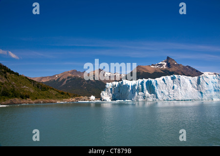 North Face des Glaciar Moreno aus dem Canal de Los Témpanos im Lago Argentino Stockfoto