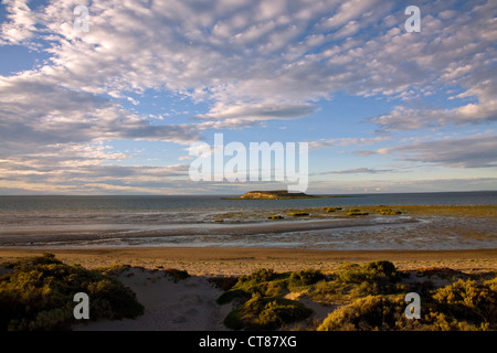 Isla de Los Pájaros im Golfo San José Stockfoto