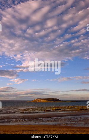 Isla de Los Pájaros im Golfo San José Stockfoto