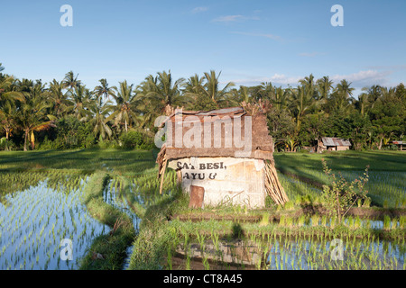 Blick auf die Reisfelder in der balinesischen Stadt Ubud, Bali, Indonesien Stockfoto