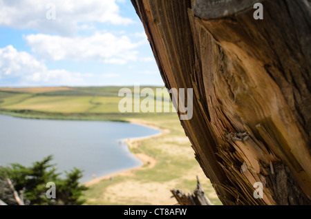 Loe Pool, der größte natürliche Süßwassersee in Cornwall Stockfoto