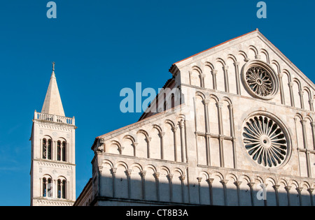 Campanile (Glockenturm) und Fassade mit Rosette (Catherine), romanische Kathedrale der Hl. Anastasia, Zadar, Dalmatien, Kroatien Stockfoto