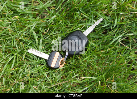 verlorene Autoschlüssel und Hausschlüssel an Schlüsselring in Rasen Stockfoto