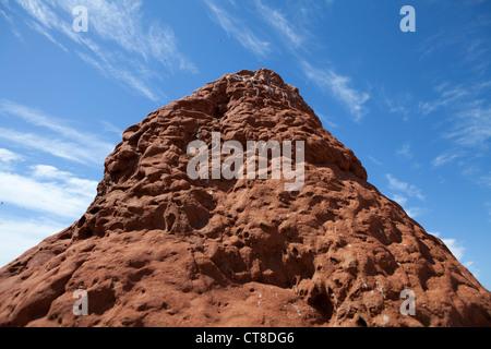 Eine Termite Hügel im Cape Range National Park in Westaustralien. Stockfoto