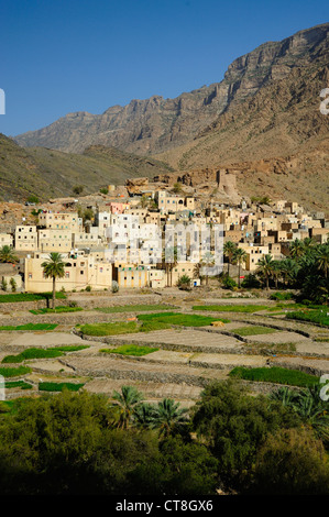 Das Dorf Balad Sayt, westlichen Hajar-Gebirge, Oman Stockfoto