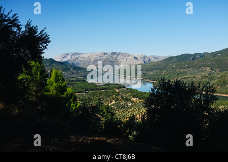 Ein Reservoir (El Tranco de Beas) und der schönen Olivenbaum gefüllt Landschaft von Las Sierras de Cazorla, Segura y Las Villas Stockfoto