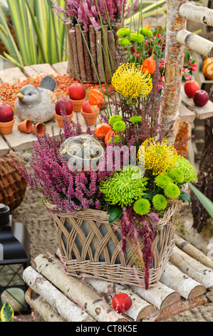 Gemeinsame Heidekraut (Calluna), Chrysanthemen (Chrysanthemum), nadelkissen (Thailand) und Kürbis (Cucurbita) in eine herbstliche Blumenarrangements Stockfoto