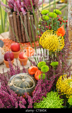 Gemeinsame Heidekraut (Calluna), Chrysanthemen (Chrysanthemum), nadelkissen (Thailand) und Kürbis (Cucurbita) in eine herbstliche Blumenarrangements Stockfoto