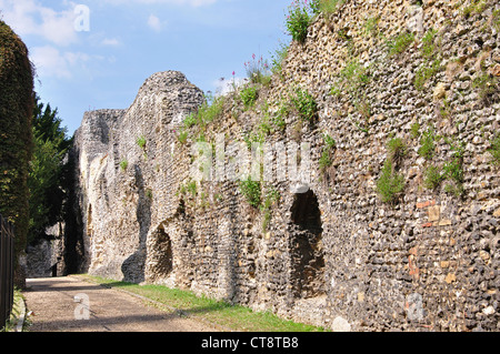 Reading Abbey Ruinen, Reading, Berkshire, England, Vereinigtes Königreich Stockfoto