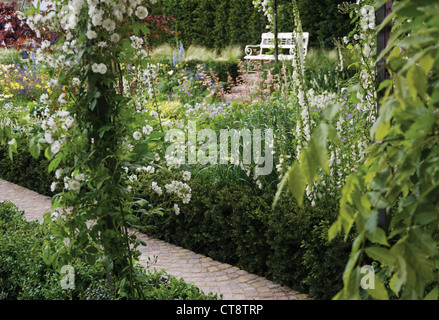 Digitalis Purpurea Albiflora, Fingerhut Stockfoto