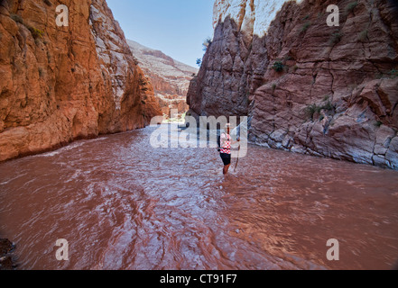 Trekking durch die M'Goun Schluchten im südlichen Atlasgebirge, Marokko Stockfoto