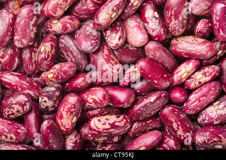 Getrocknete rote gesprenkelte Bohnen Stockfoto