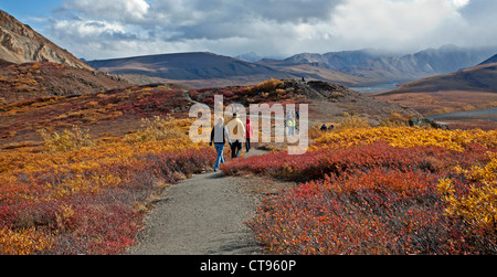 Touristen in Denali National Park im Herbst. Alaska. USA Stockfoto