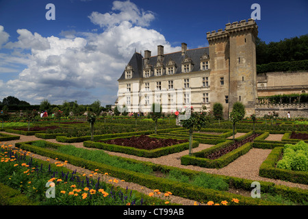 Chateau de Villandry, Loiretal, Frankreich.  Späten Renaissance-Schloss berühmt für seine restaurierte Gärten. Stockfoto