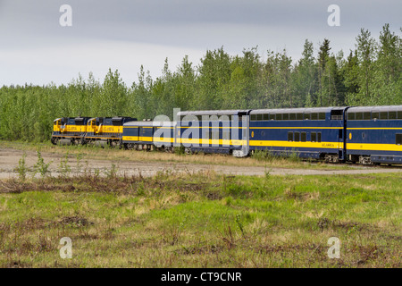 Alaska Railroad Zug Fahrt - zwischen Fairbanks, Alaska und Denali National Park durch Nenana, Alaska. Stockfoto