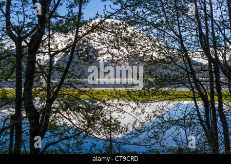 Spiegelung des schneebedeckten Berges in Turnagain Arm zwischen Anchorage und Seward, Alaska. Stockfoto