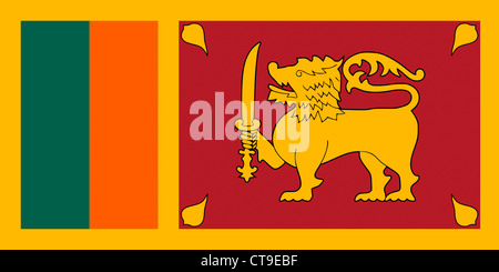 Nationalflagge der Demokratischen Sozialistischen Republik Sri Lanka. Stockfoto