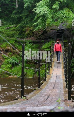 Ein Wanderer Überquerung einer Hängebrücke auf Allen Banken gehen in Northumberland. Stockfoto