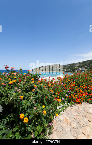 Strandpromenade von Baja Sardinia mit blühenden Blumen auf Sardinien, Italien Stockfoto